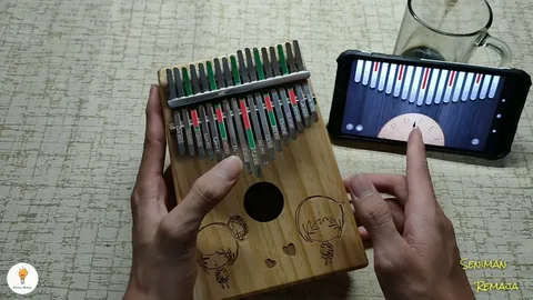 How Does Stagg 21 Kalimba Tuning Software Work